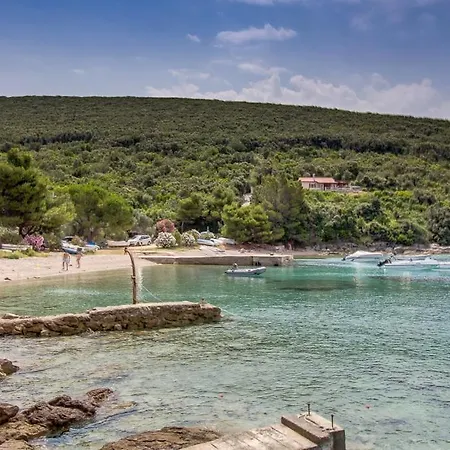 بيت للعطل House *